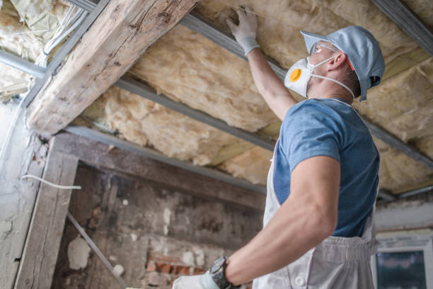 Best Cellulose Insulation  in Coalinga, CA