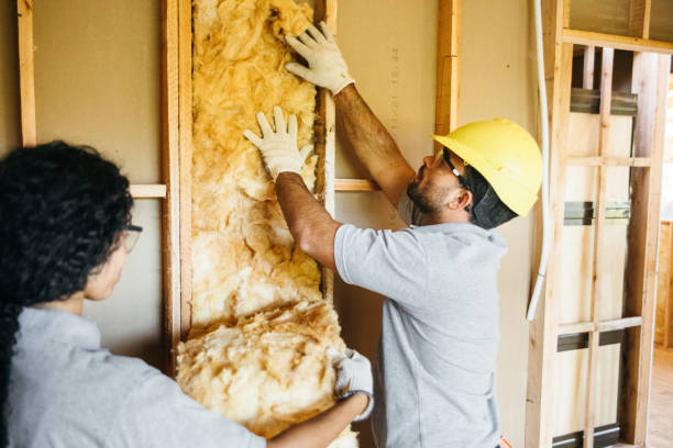 Best Insulation Repair Services  in Coalinga, CA