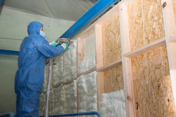 Insulation Repair Services in Coalinga, CA